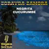 Zorayda Zamora y su Sonora - VOL-4 NEGRITA CUCURUMBE
